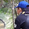 Raihan.m.arif