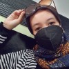 herlin