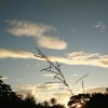 sky