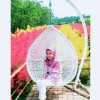 Annid