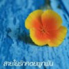 จ๊ะจ๋า
