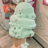 mint_chocolate