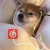 Agreatdogman