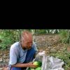 Ujang Kemod