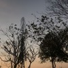 พรรณพนัช ประจิตร