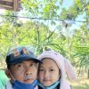 Miswanto