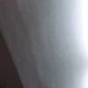 許志安