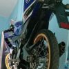 Rendy Samudera