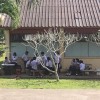 กุมภาพันธ์ ราชสีห์
