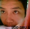 Sod Gru Sod