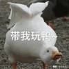 顏