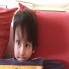 Cheesir