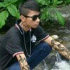 Ammar