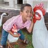 Heni Eko Setiawati