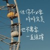 靜婷