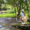 NT Kamaree