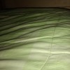 Va