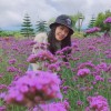 อิ่ม เอม ใจ