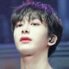 Chaeohlee