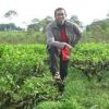 Amin Setiawan