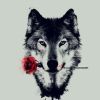Theofell Magh