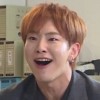 해쫘니