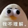 我不理解