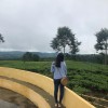 reginaindyka