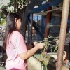 Nong My
