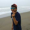 gerryvb
