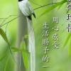 流行奶黃包