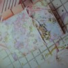 我是蓝玉婷