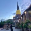 ปฤชฏา ถิ่นมีผล