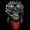 Sigiantoxxx