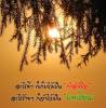 เพชรลดา อุ่นแก้ว