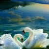 Lifang Tan