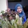 inha Gemmy