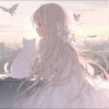 蝴蝶cat