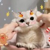 aisomi