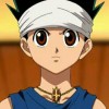 Gon Freecss