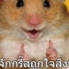 จั๊กกริส