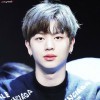 Jaejae