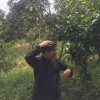 mxfiq