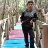 Fasbir