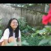 Meyvi