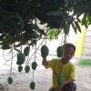Mangaraja Panjaitan