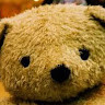 Bear S.