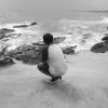 Moha. Arif