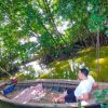 Sihol Purba