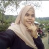 nalfira ulmi